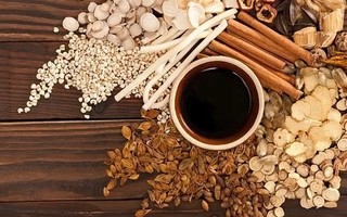 “岐黄赤子”培养工程中医临床精英班在河北内丘开班
