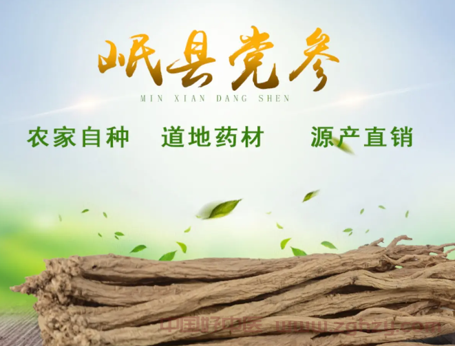 甘肃省党参黄芪肉苁蓉三种中药材正式纳入食药物质目录