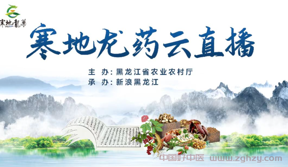 黑龙江木兰打造“寒地龙药”特色产业  种植面积升至３.４万亩