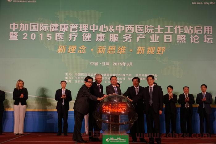 王国强副主任出席2015医疗健康服务产业论坛