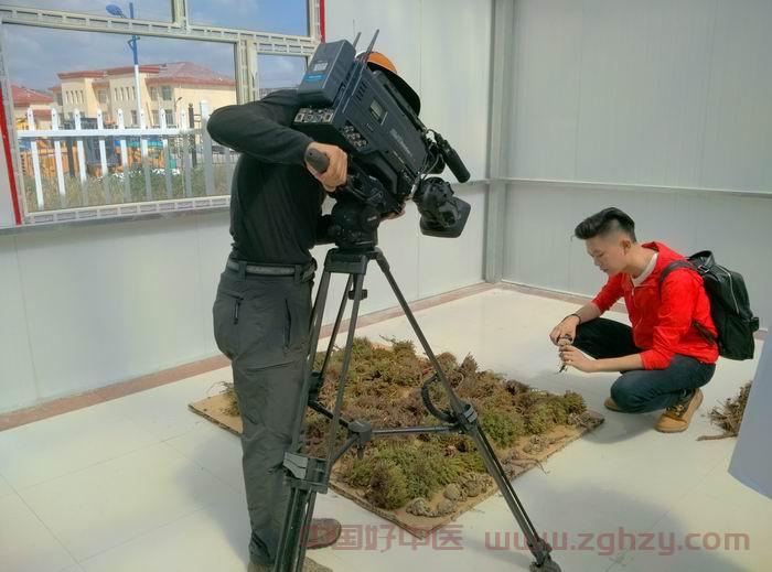 中央主流媒体赴青海省实地采访报道藏医药发展情况