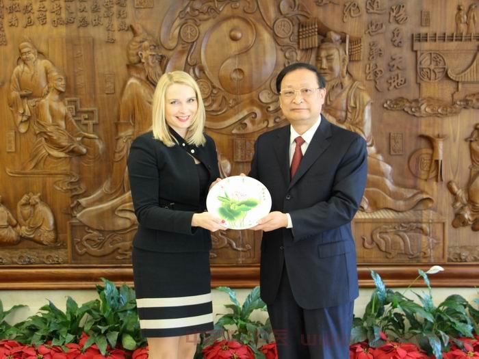 王国强副主任会见捷克卫生部代表团