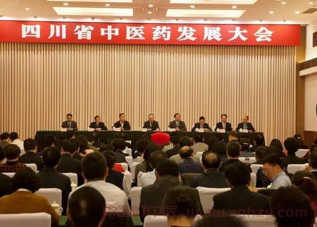 王国强出席四川省中医药发展大会，要求在中医药振兴中走在前列创造经验