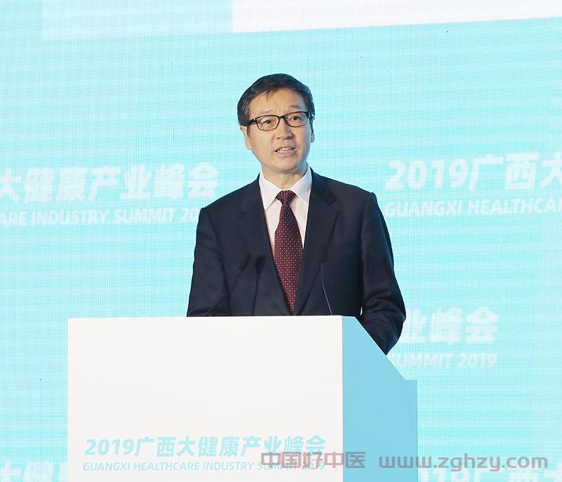 孙达出席2019广西大健康产业峰会并调研广西中医药工作
