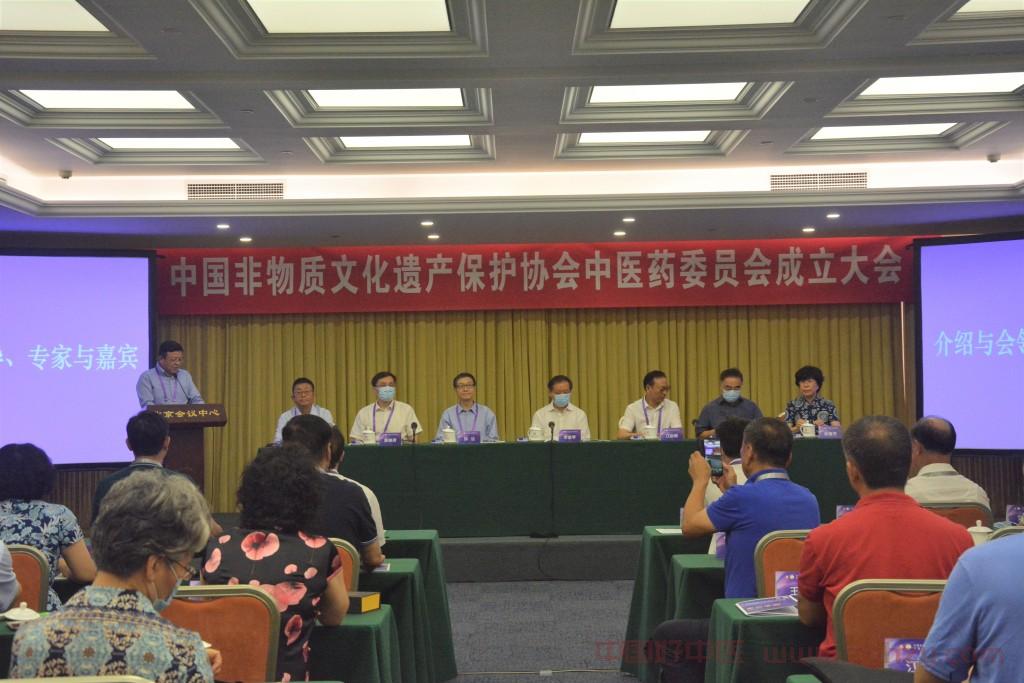 孙达出席中国非物质文化遗产保护协会 中医药协调委员会、中医药委员会 成立大会并致辞
