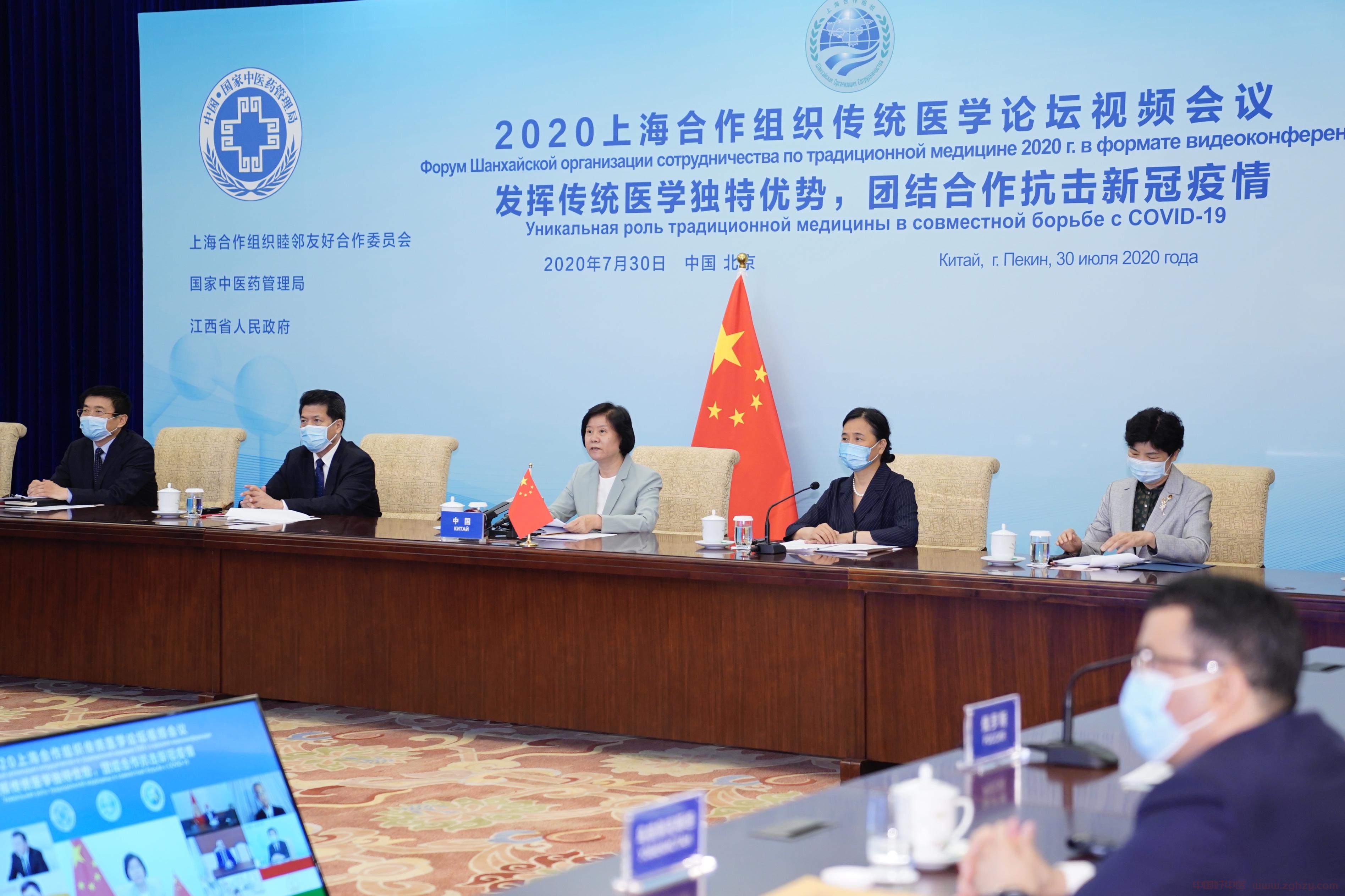 2020上海合作组织传统医学论坛视频会议举办 为构建人类卫生健康共同体贡献中医药力量