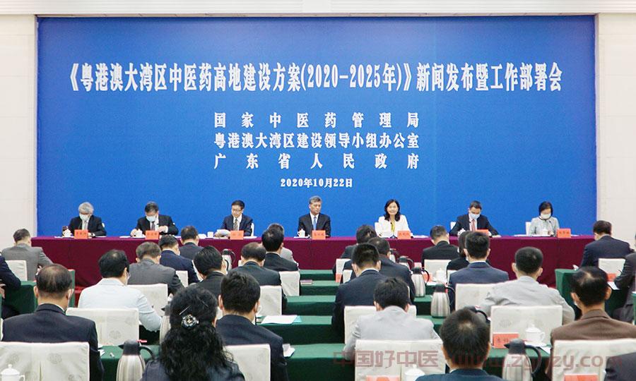 打造粤港澳大湾区中医药高地 构建共商共建共享体制机制