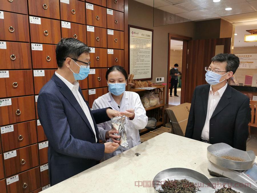 孙达调研珠三角部分城市中医药参与粤港澳大湾区建设情况