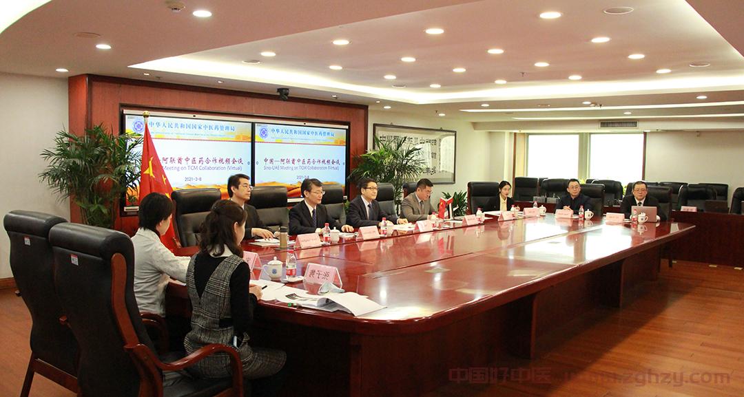 孙达出席中国—阿联酋中医药合作视频交流会