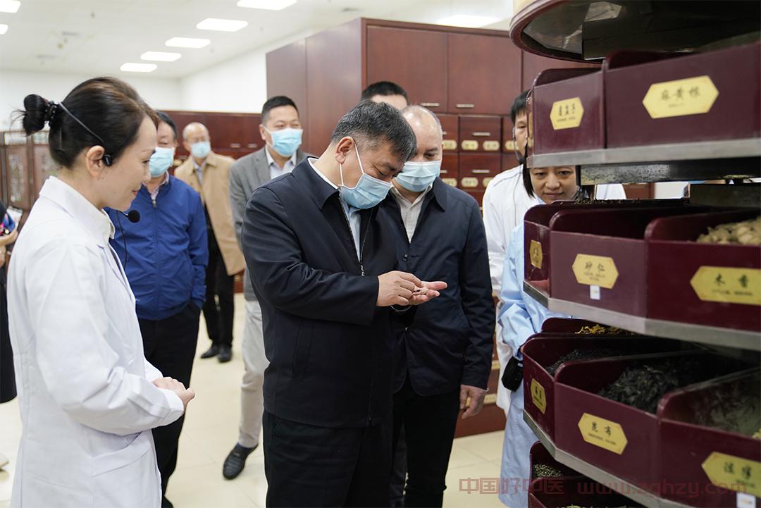 闫树江赴广西、海南调研《中医药法执法检查报告》落实情况
