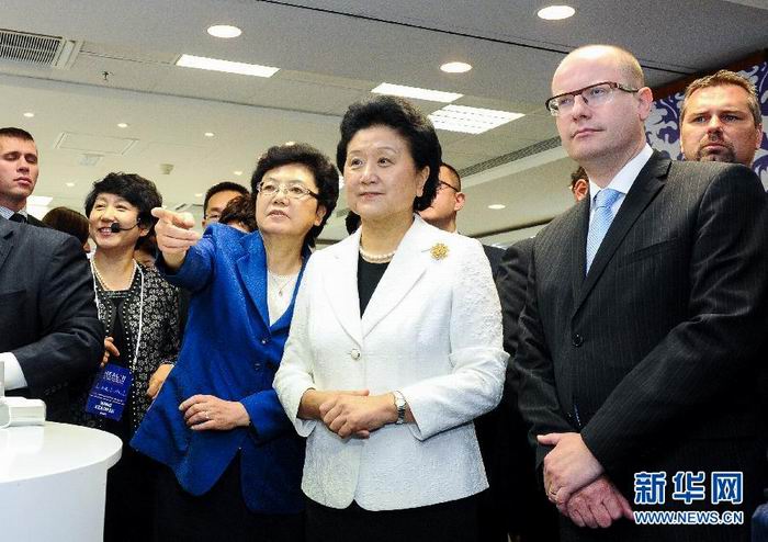 首届中国-中东欧国家卫生部长论坛在捷克举行，刘延东参观中国传统医药展