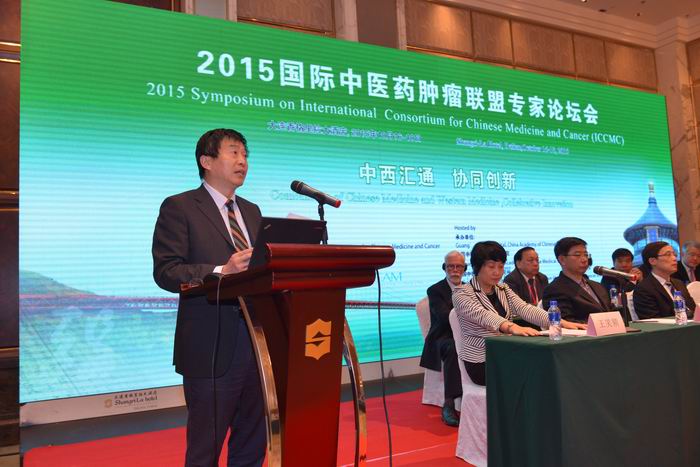 于文明副局长出席2015国际中医药肿瘤联盟专家论坛