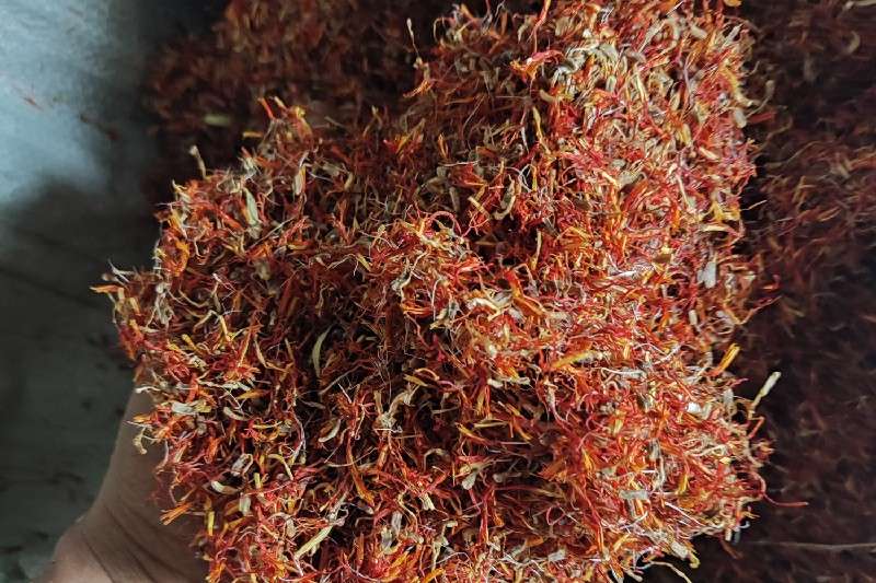 云南省保山市红花(籽花) 走势稳定
