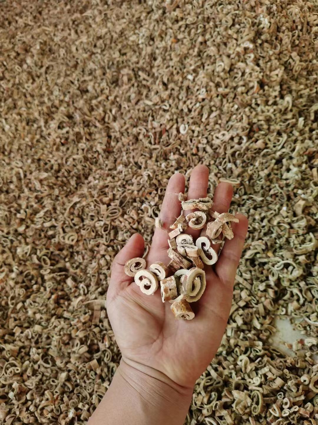 贵州产地桑白皮目前走势稳定 贵州产地桑白皮目前走势稳定