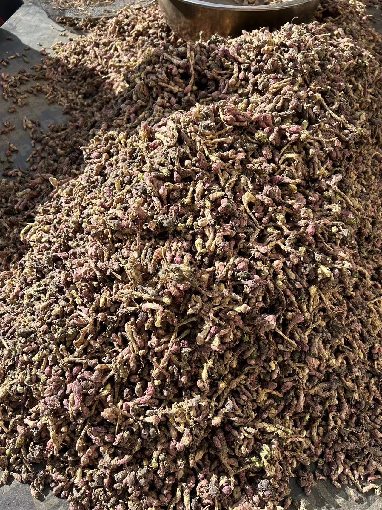 甘肃陇南产地目前款冬花处于产新后期