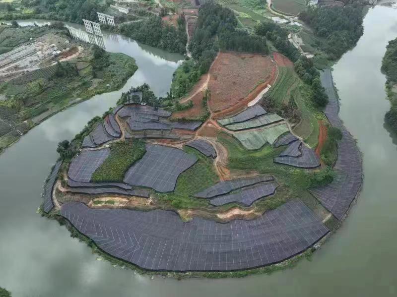 贵州省黔南州都匀市山慈菇（毛慈菇）走动快