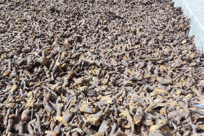 湖北省恩施土家族苗族自治州恩施市 虎杖 快讯信息