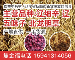 辽宁产地细辛目前走势较快
