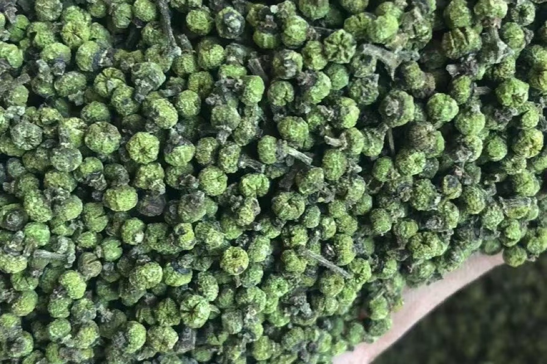 广西罗城县吴茱萸走势畅快